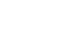 OneNine5 logo in black including Humpback Whale