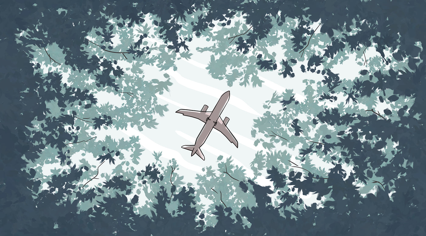 An illustration looking up through thick tress, towards an aeroplane travelling through the sky