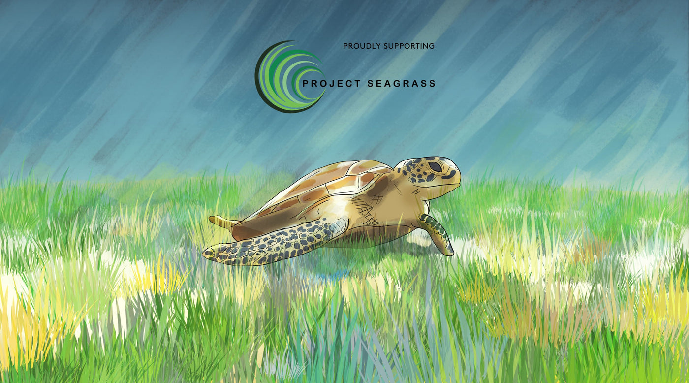 An Illustration of a sea turtle swimming through Sea Grass