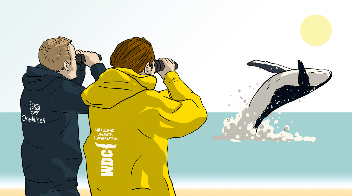 An illustration of a male in a blue jacket and a female in a yellow jacket, stood on a beach and looking out to see with a pair of binoculars. A humpback whale is breach the water with the sun in the background