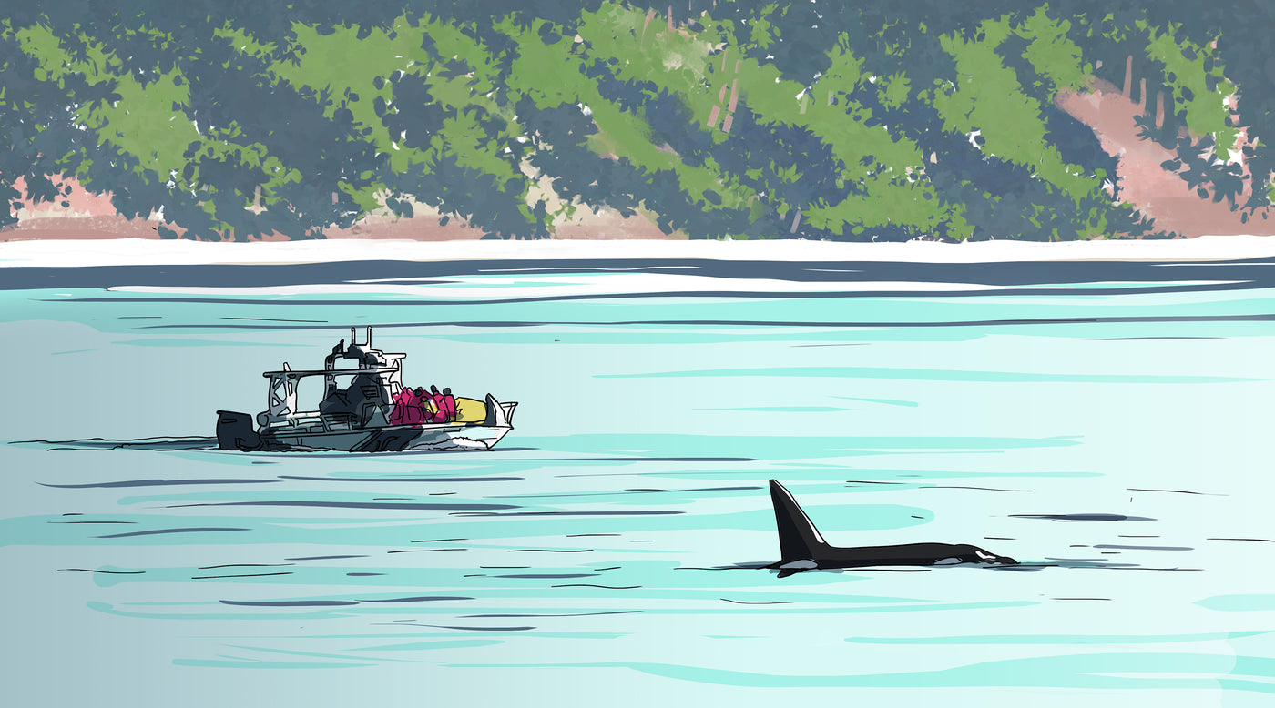 Illustration of whale watchers and an Orca Whale breaching the water